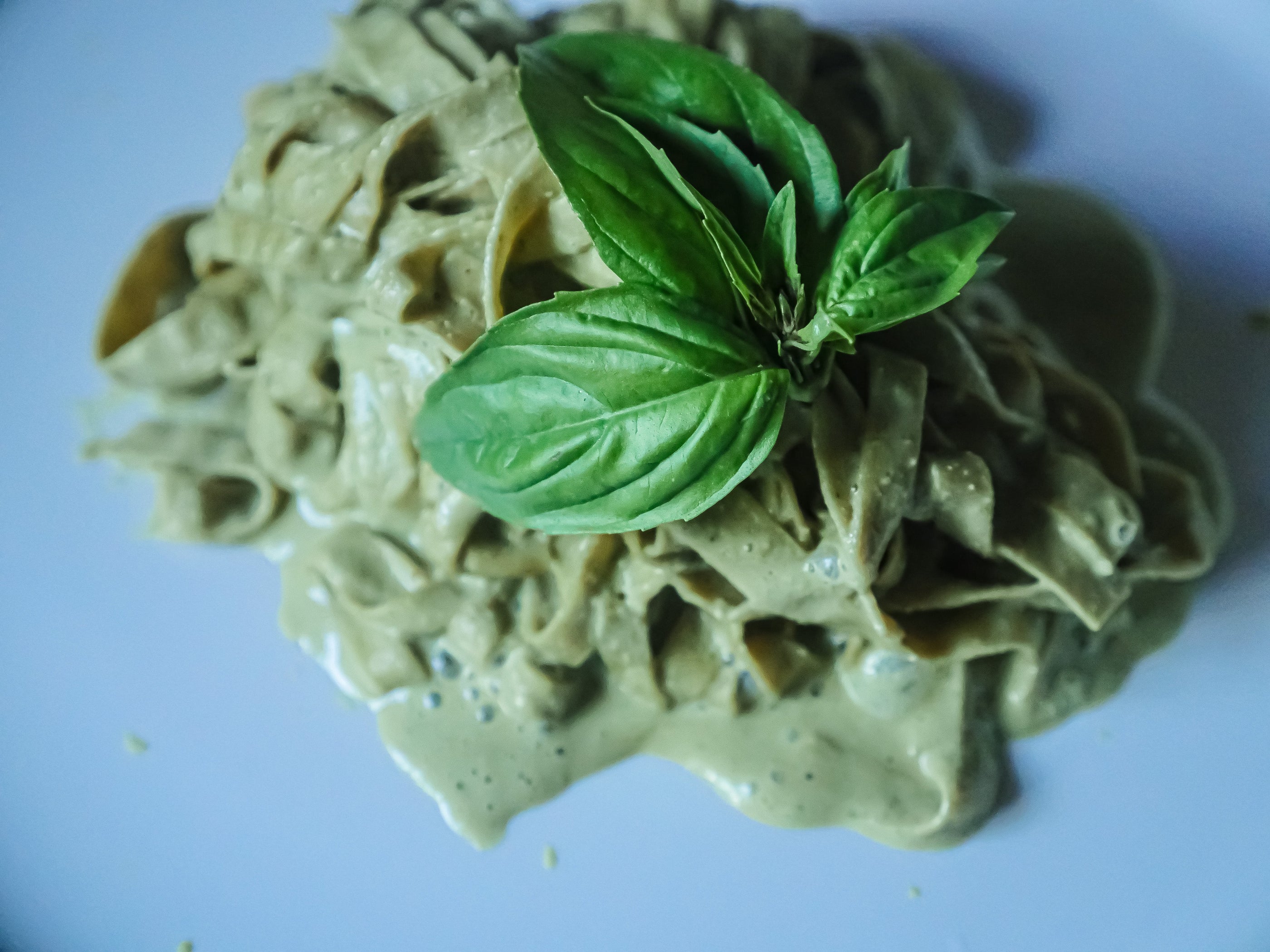 Pasta with Creamy Basil Sauce